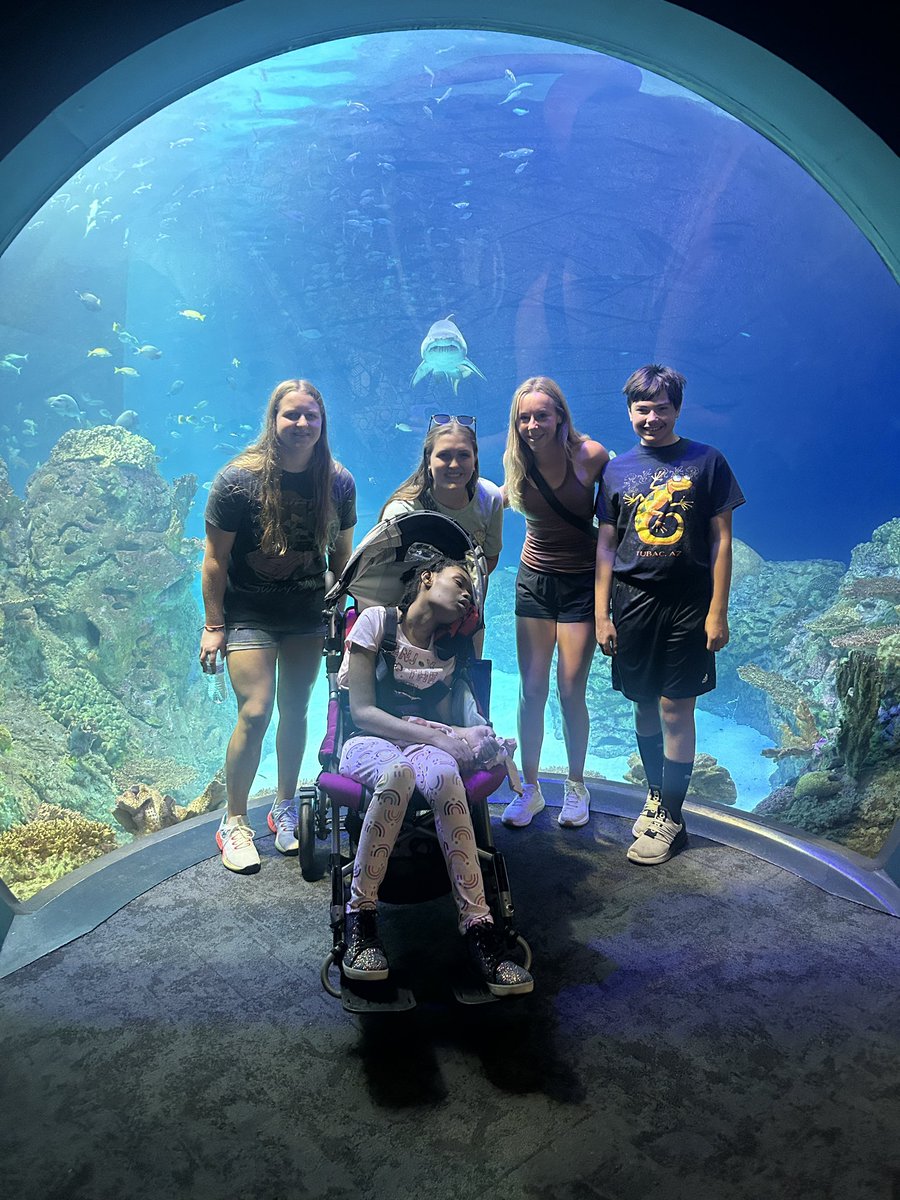 olatheeastIPS's tweet image. Zoo Trip 2024 #buildingfriendships #spreadinginclusion #choosetoinclude #allhawksincluded