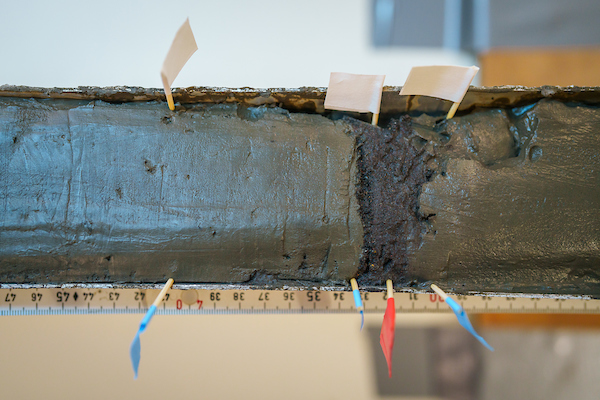 SchmidtOcean tweet picture