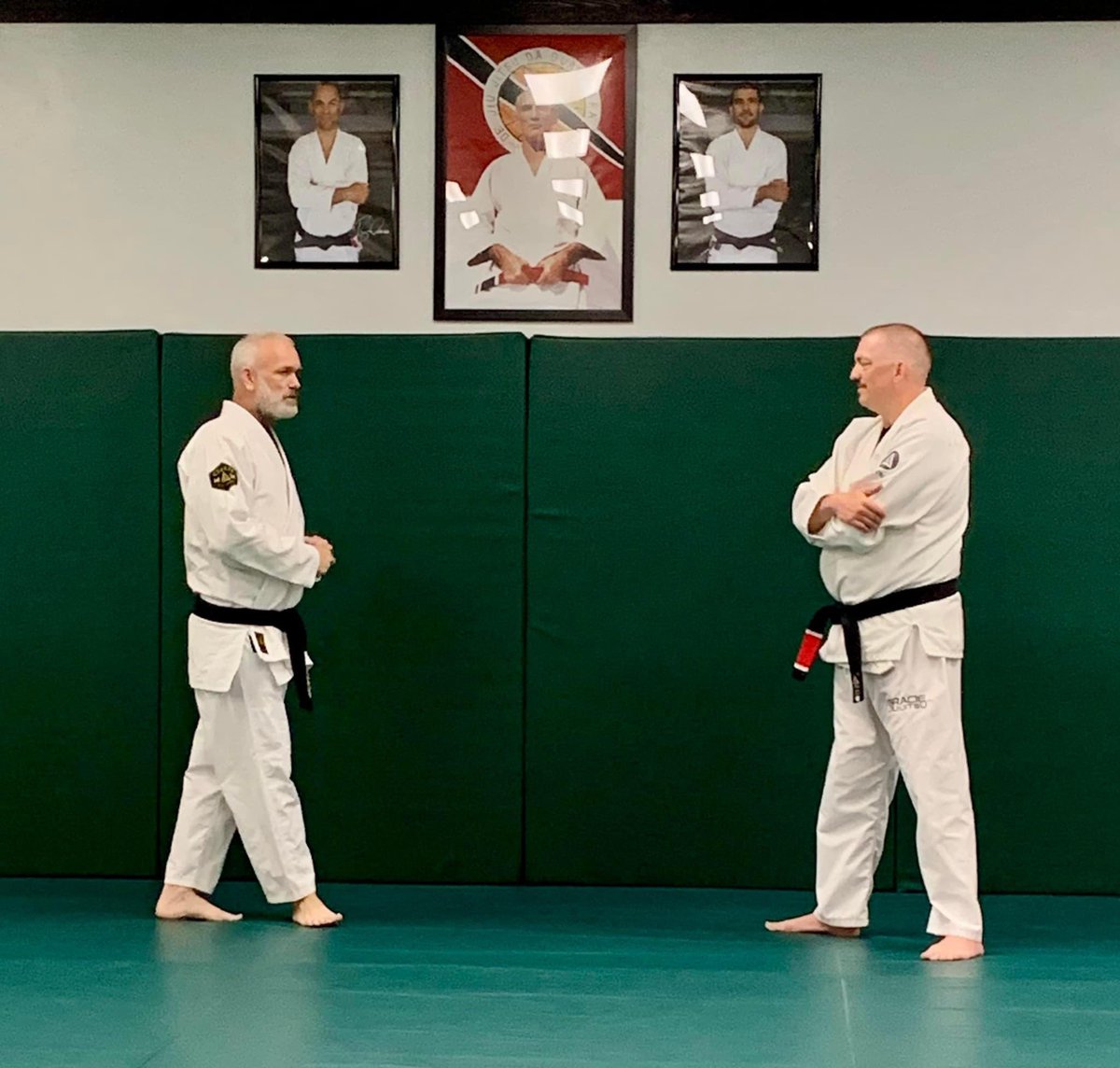 Gracie Appleton tweet media