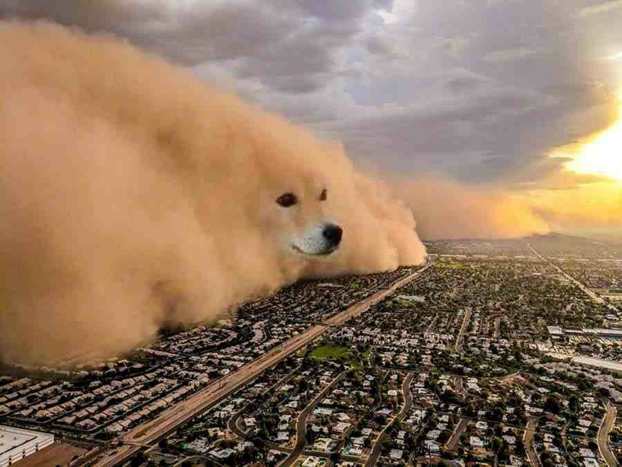 Dogecoin 𝕏 Post tweet media