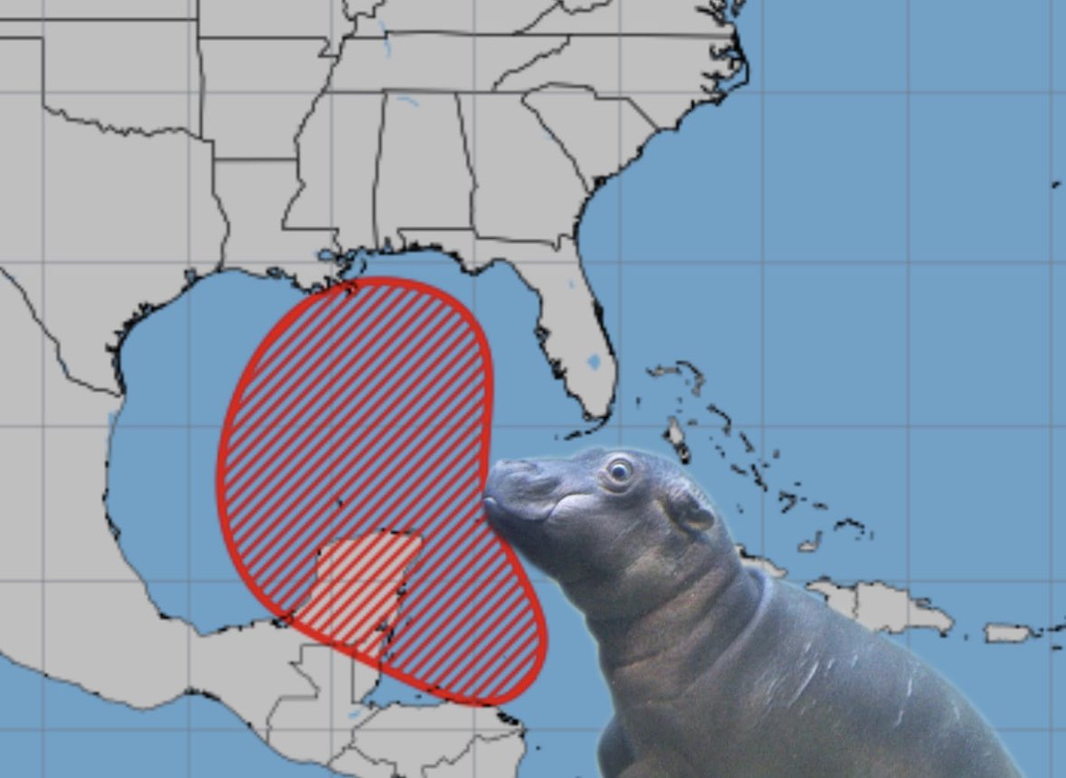 Stormchasernick (@stormchasernick) on Twitter photo 