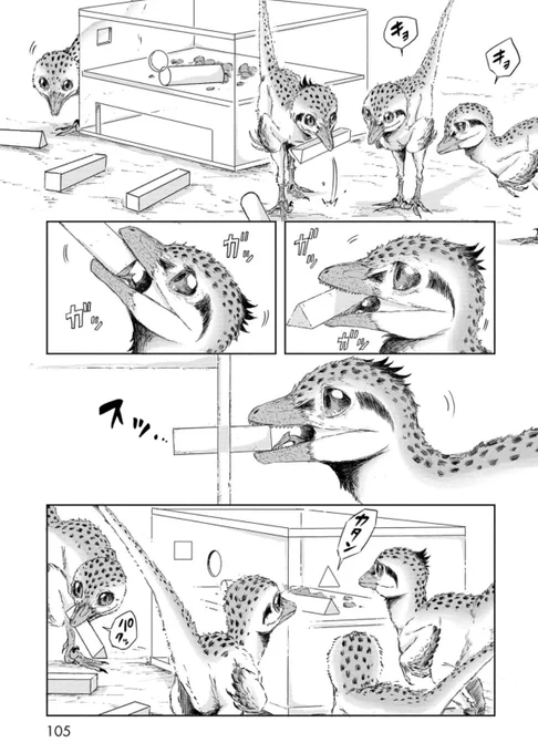 キョ 