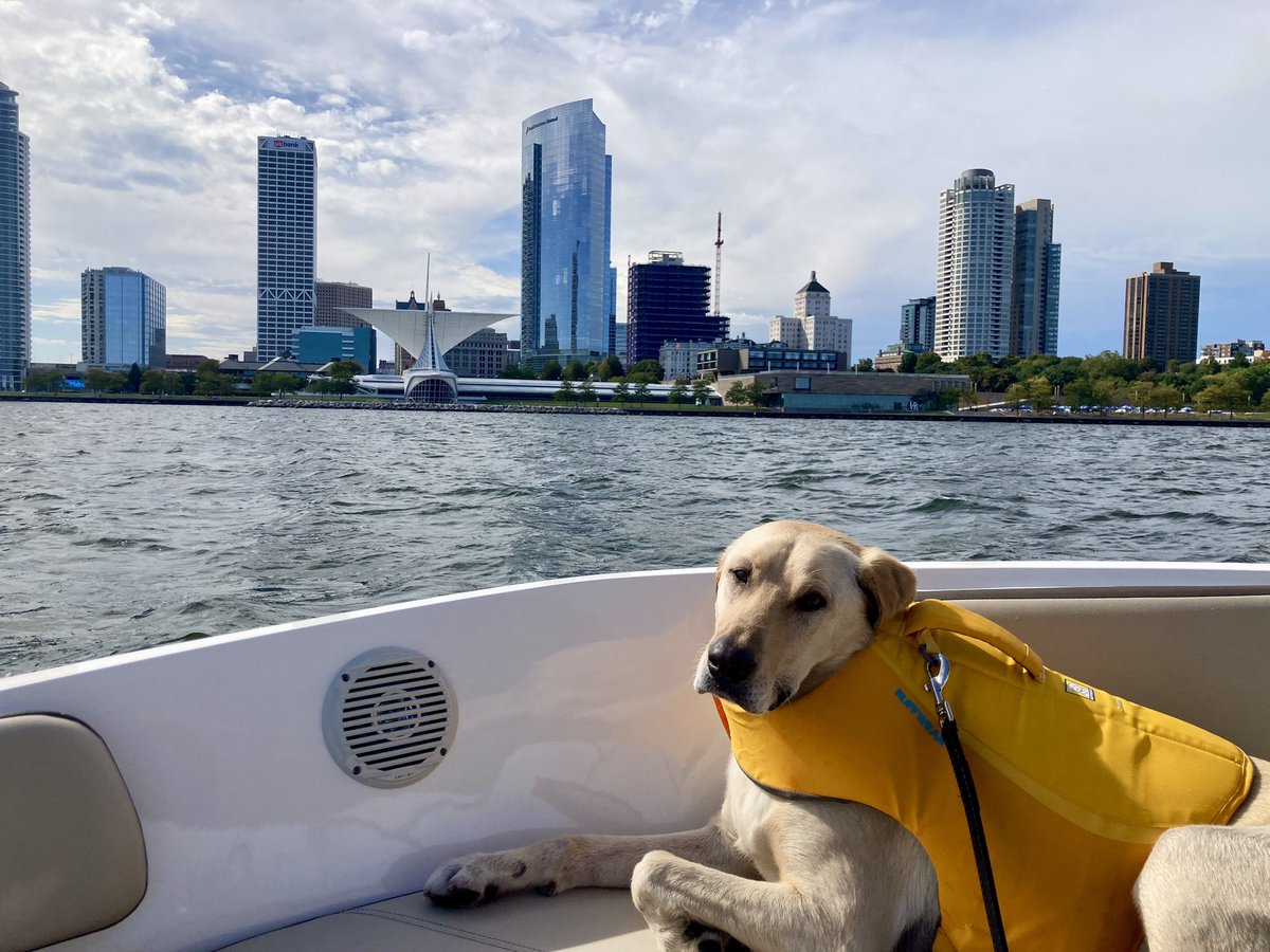 NatalieCzar's tweet photo. Barrel loves @LakeMichigan13 on days like today. ❤️ #Milwaukee https://t.co/1vpBR1U6xa