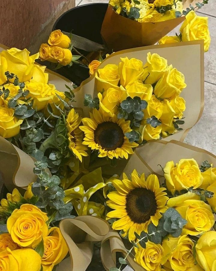 <a href="/TheScarletSkull/">‍ ‍ ‍‍ Ｓｉｎ ‍‍</a> 
ㅤ
ᅠᅠᅠᅠᅠᅠ〝 ¡ Empezó primavera !  , no dejaría que fueras espectadora  , sinnie , linda . 〞

ᅠᅠᅠᅠᅠᅠ