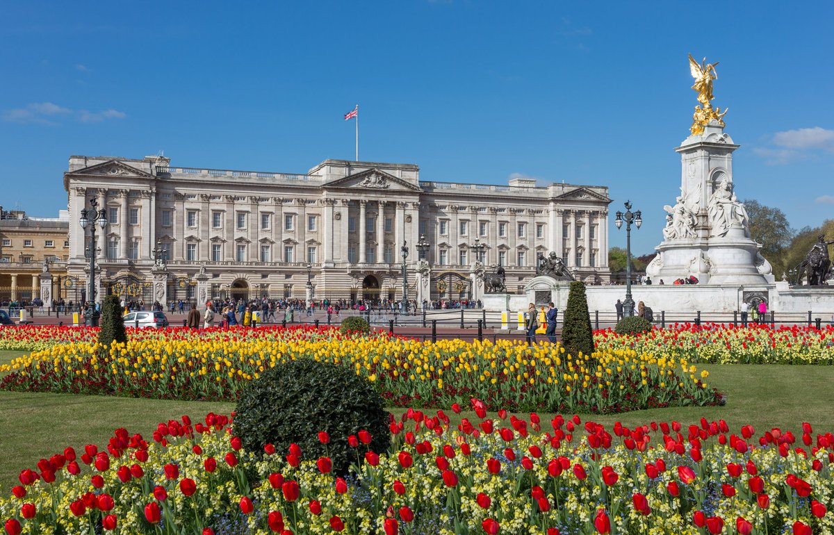 PanariellinaIda's tweet photo. Io ve lo dico dopo stanotte sognerò buckingham palace🤣🤣🤣🤣🤣🤣🤣🤣 @RaiUno @RaiPlay @gabrieledimarzo @LaPaoEmme @MaruskaStarr @GiovanniAngiol9 @N_DeGirolamo @prestigiattore @RaoullBova1 #CorradoTedeschi #CiaoMaschio https://t.co/l8kSHkEu5U