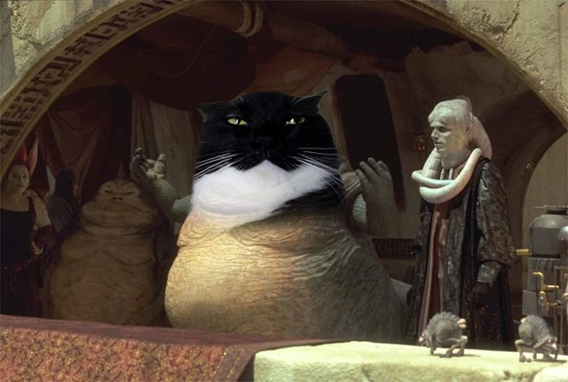 Green561 (Merry Grikmas) tweet media