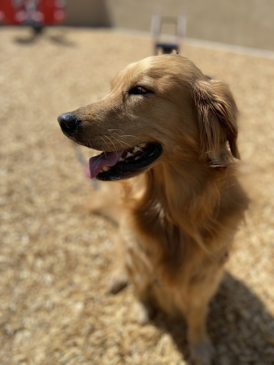 Kimberly ☕️ 📚 tweet media