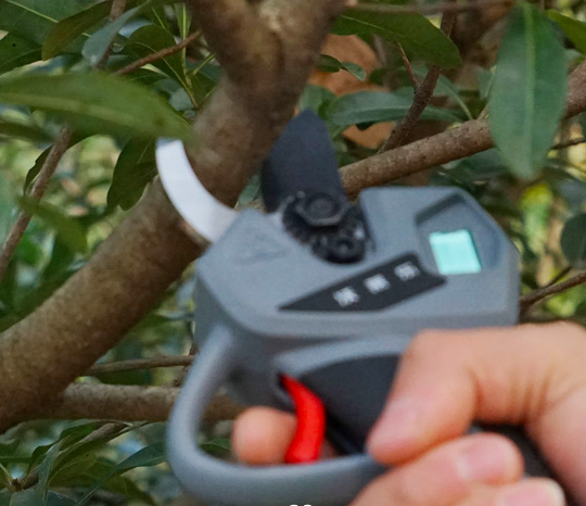 Rleao_tool's tweet photo. π³β¨ Trim those branches like a pro with the WL-6628 Brushless Lithium Battery Pruning Saw! Powerful, lightweight, and super easy to use. Get your garden game on! πͺπ #BrushlessLithiumBatteryPprPipeShear
#GardenPowerTools
#PowerTools
https://t.co/gzIMUsyDsp https://t.co/dche06tI1C