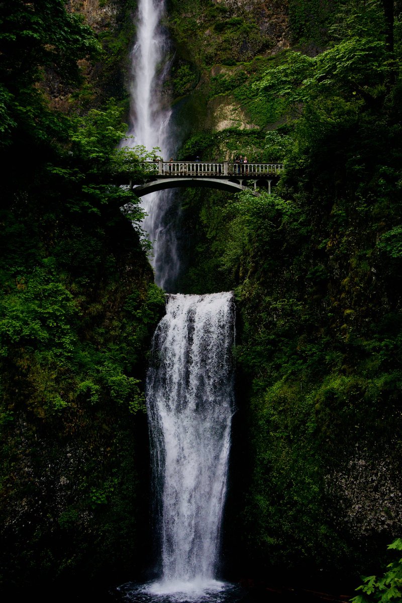 Akash Patel tweet media