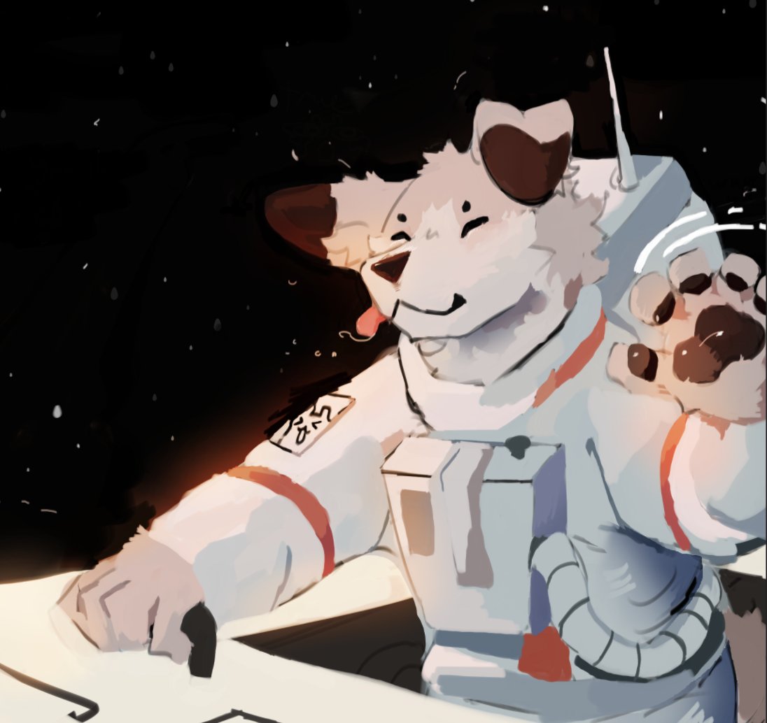 doggy space dream