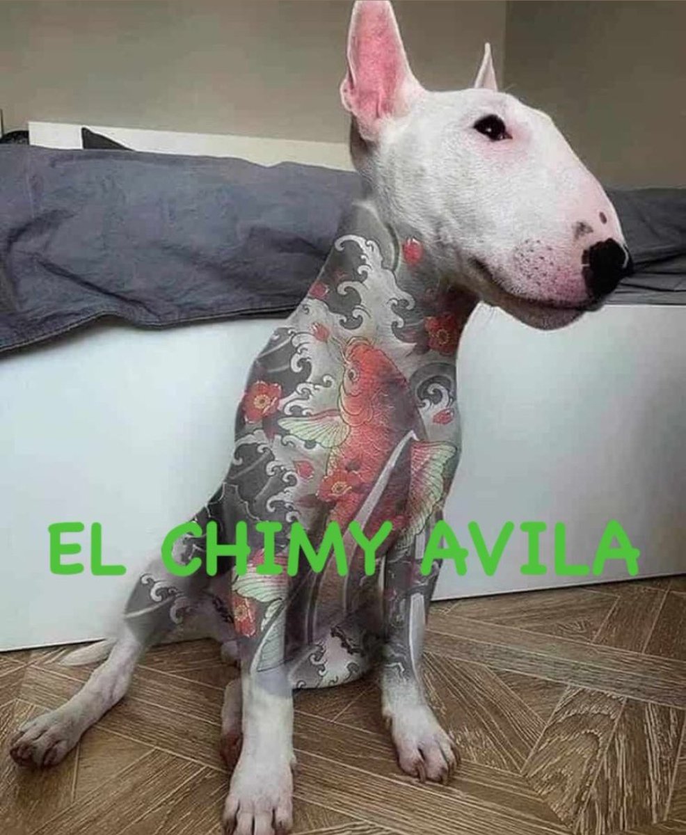 el chimy avila
