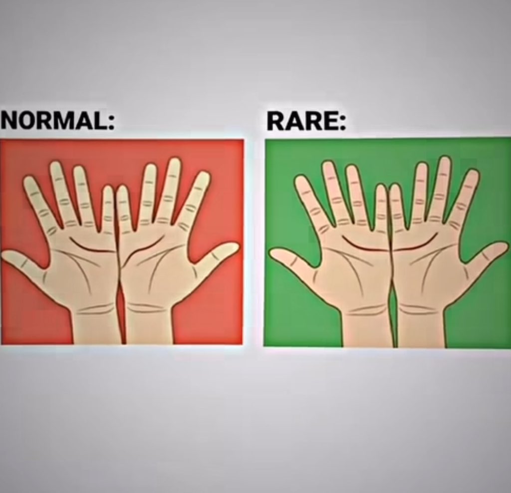 Nithya Shri tweet media