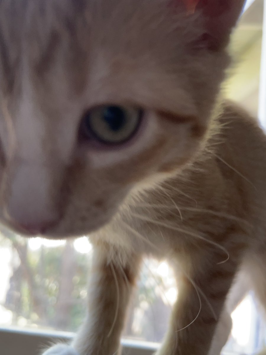 Rory !!!! 🍉 🇵🇸 tweet media