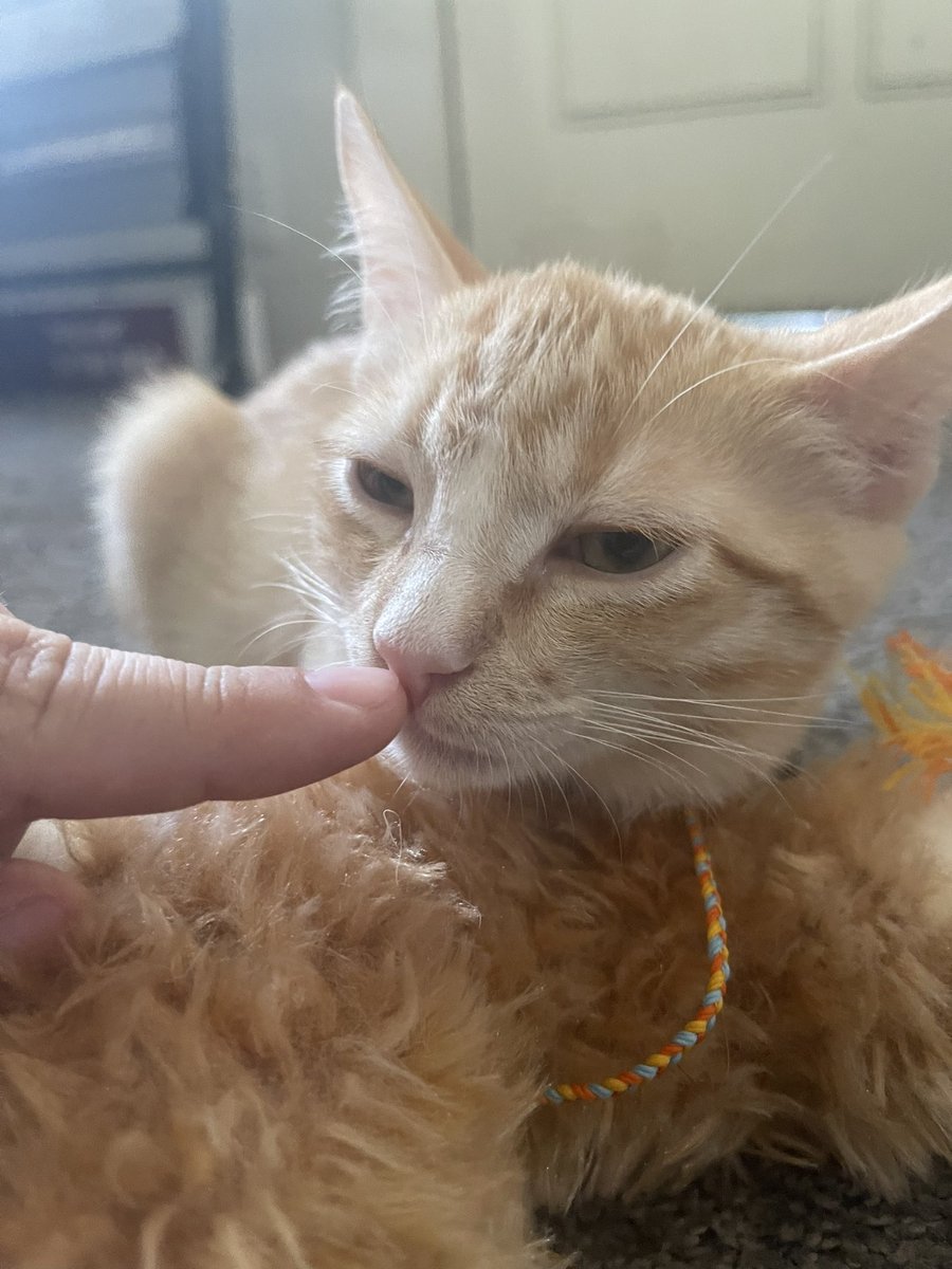 Rory !!!! 🍉 🇵🇸 tweet media