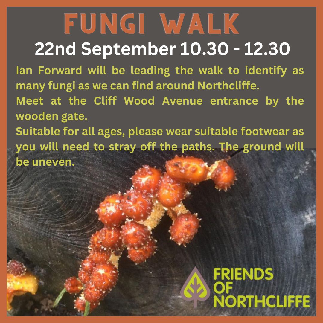 OSWMeadow's tweet image. Today