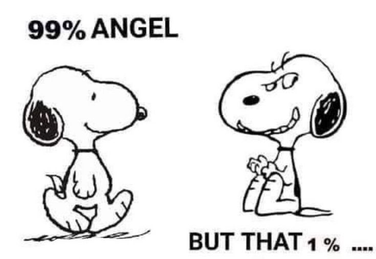 DailySnoopys's tweet photo. https://t.co/uRSs69KcP5