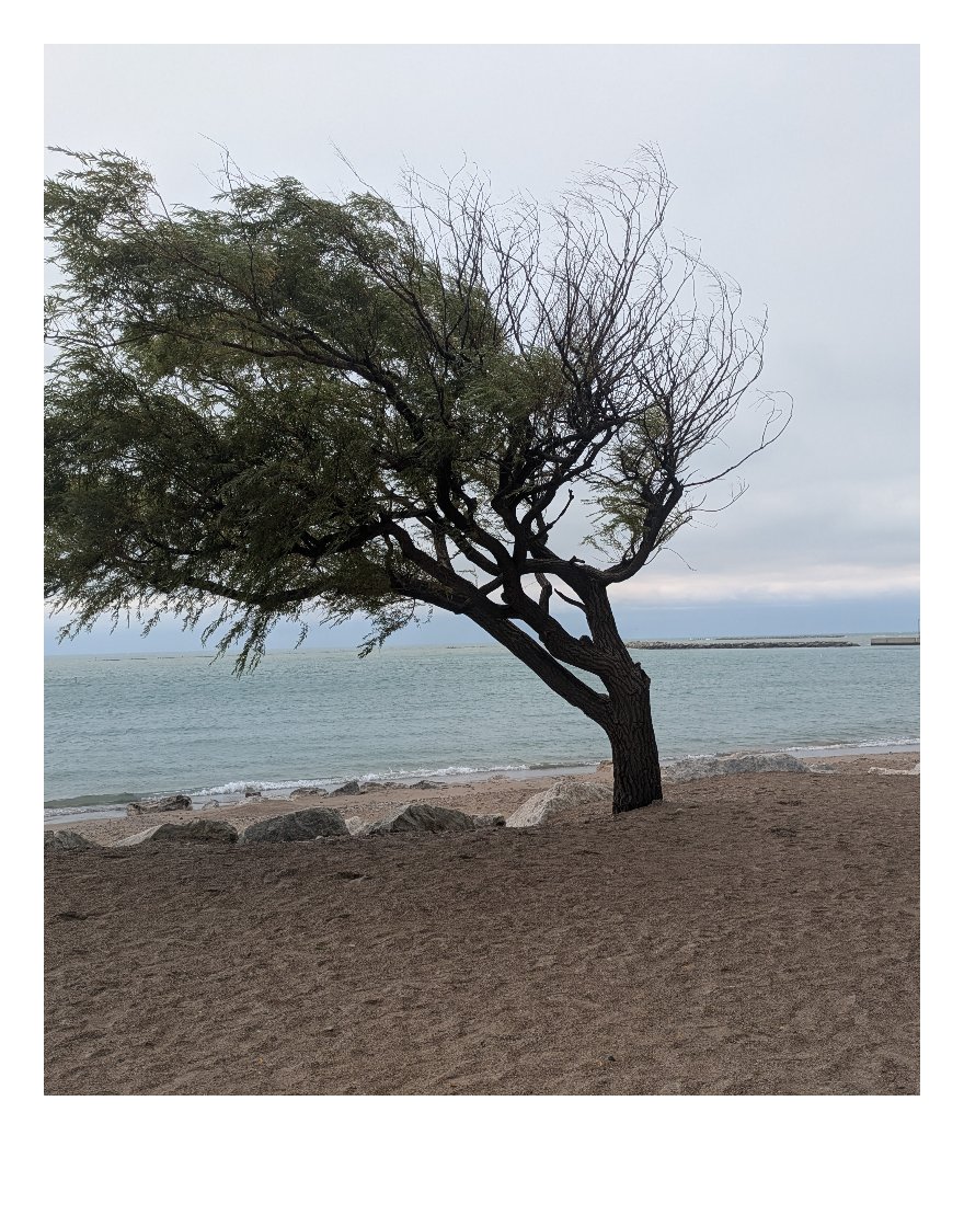 ScratchAddict98's tweet image. Here's some the pictures I took and used for my Social Media banners. Turned these into mock polaroids and then took a shoot with them at my beach. #beach #photography #photoshoot #album #hiphop