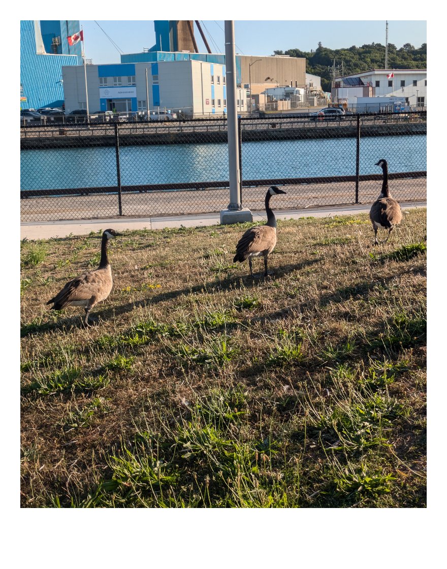 ScratchAddict98's tweet image. Here's some the pictures I took and used for my Social Media banners. Turned these into mock polaroids and then took a shoot with them at my beach. #beach #photography #photoshoot #album #hiphop