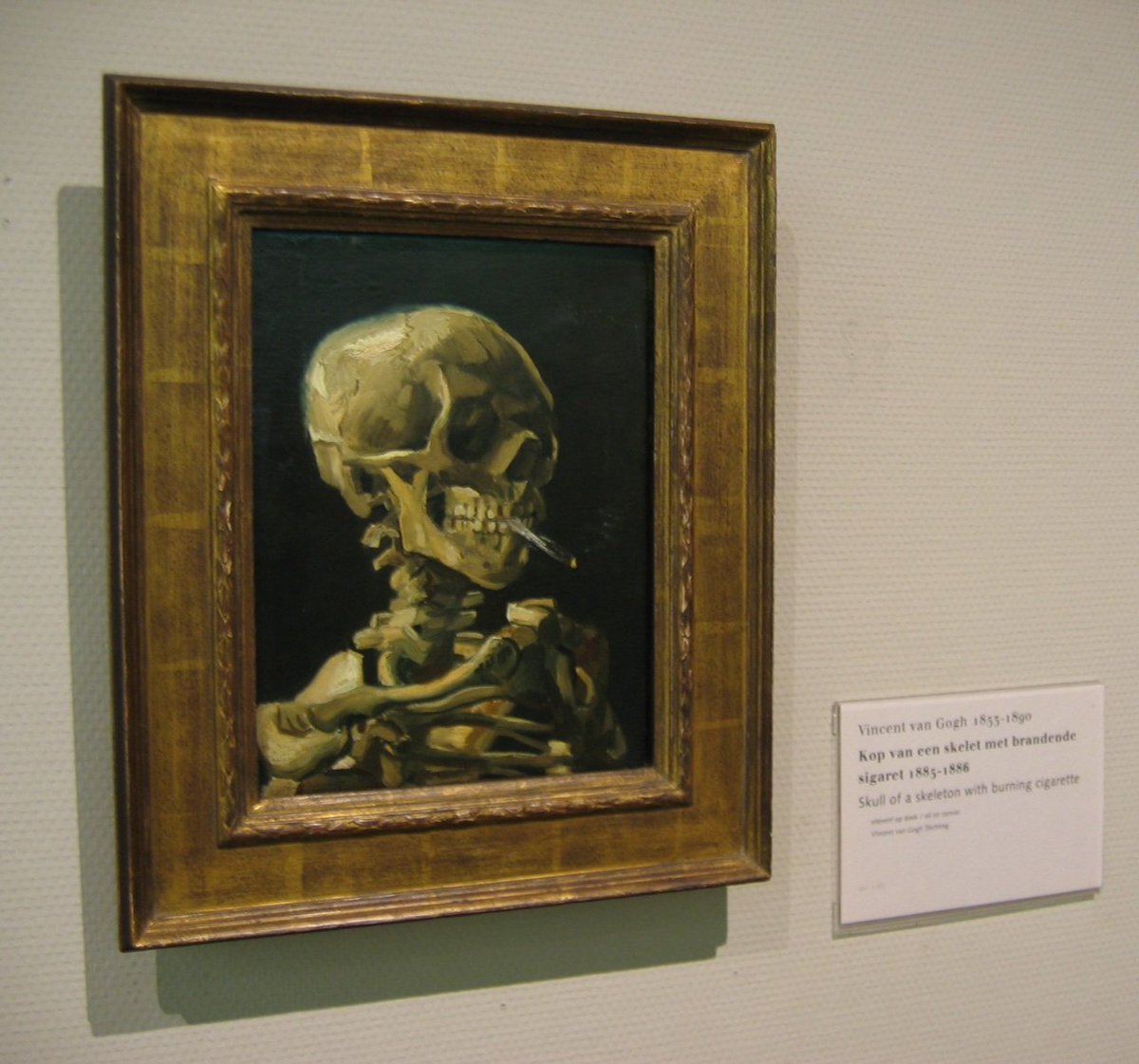 Jamrock Hobo tweet media