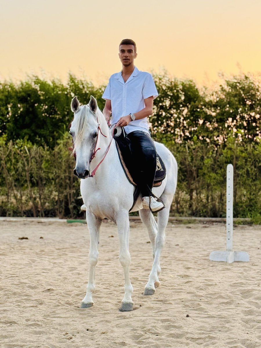 abdo_mhmd156's tweet photo. Prince at morning, King at night 🔥 https://t.co/Ol0ab4jen1