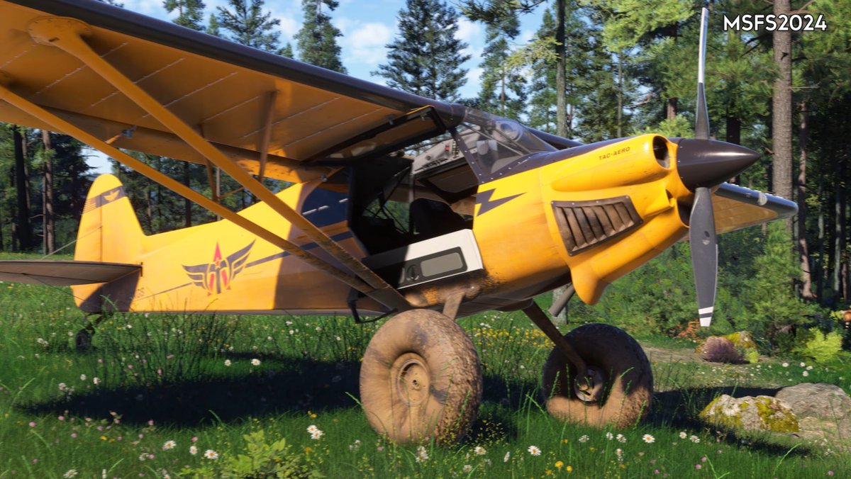 AnthropicDualiT's tweet image. MICROSOFT FLIGHT SIM 2024 looks absolutely incredible!!
Can't wait to explore the new world they've crafted for us! 
#flightsim #msfs24