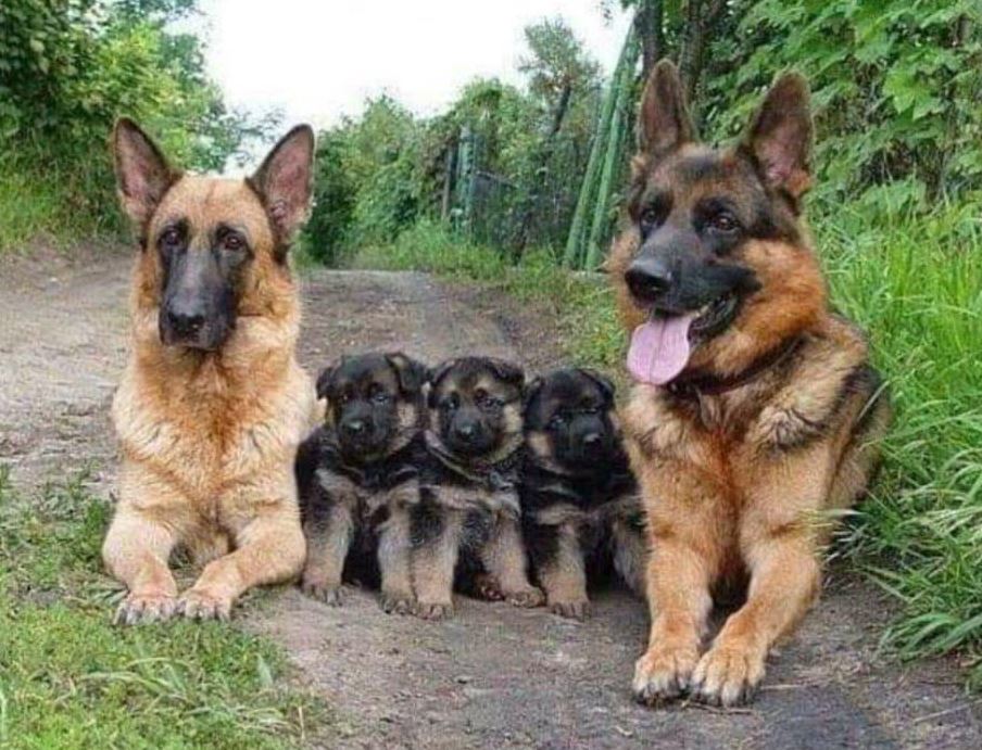On a scale from 1 to 10 how beautiful is this photo ?