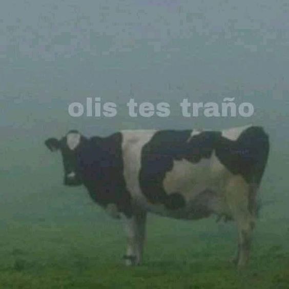 mafergomez1104's tweet image. Alejo vuelve plis 
#AlejoSacaMúsica