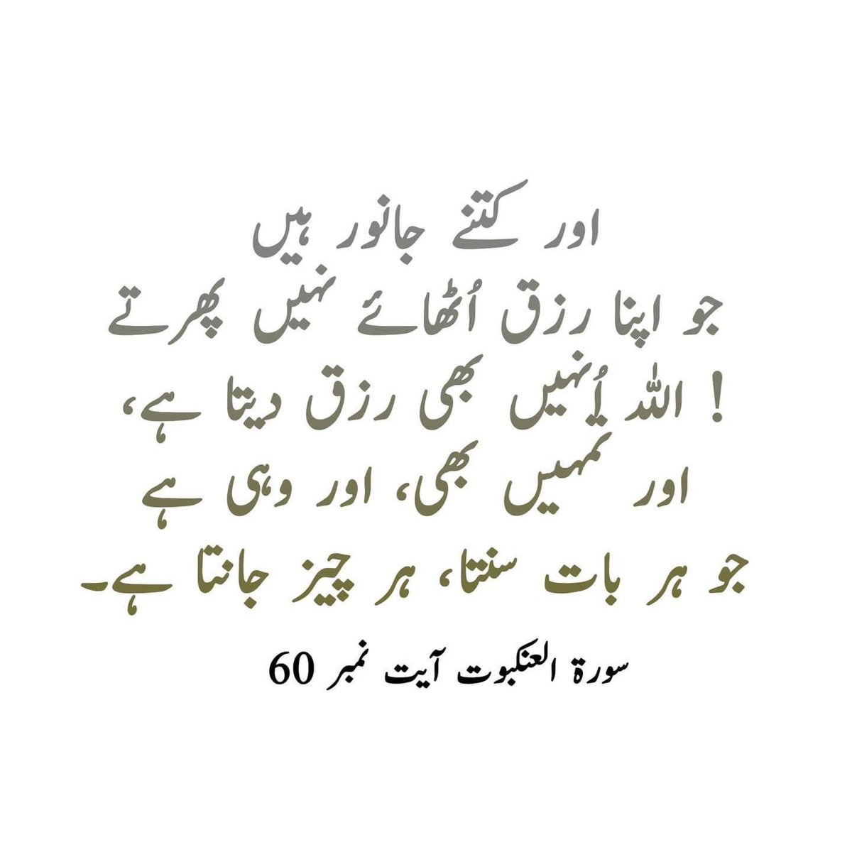 chmoazam1's tweet photo. صبح بخیر ۔۔۔ اللّہ تعالیٰ آپ سب کو اور مُجھے کامل ایمان صحت تندرُستی والی زندگی دے ! وقت نزاع کے وقت کلمہ پڑھنا نصیب فرمائے ۔۔ آمین ش
جزاک اللّہ خیراً کثیرً
#معظم https://t.co/6LHgcdKhZ8