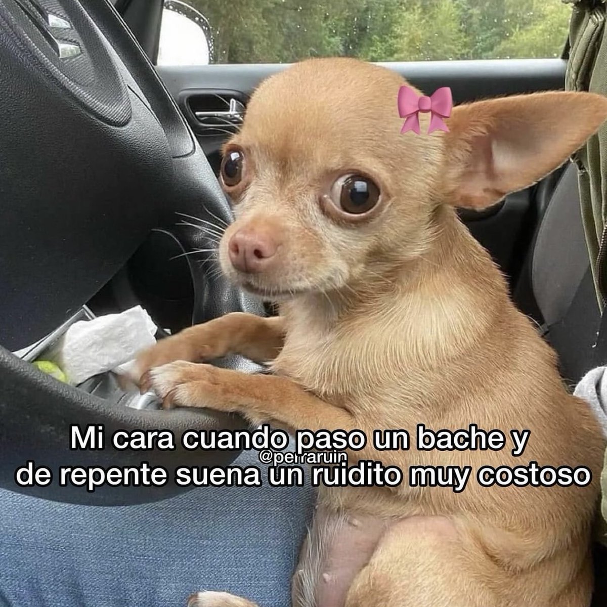 Ah caray!