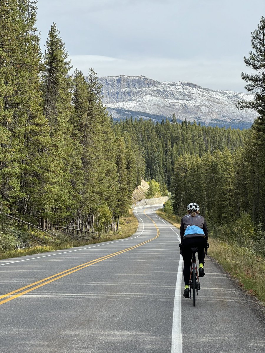 Ken Read tweet media