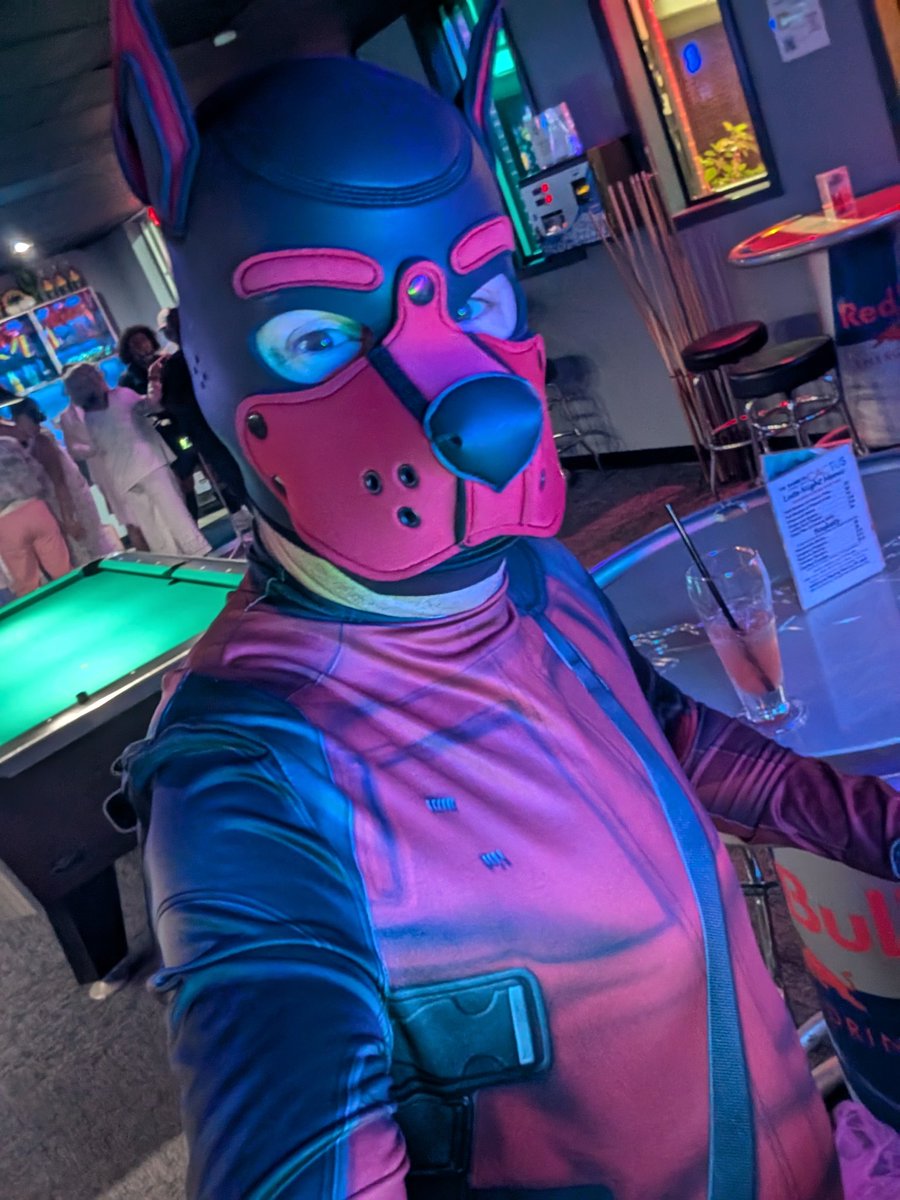 Dogpool #humanpup #pupplay #gaypup #puppyplay #gaypuppy
