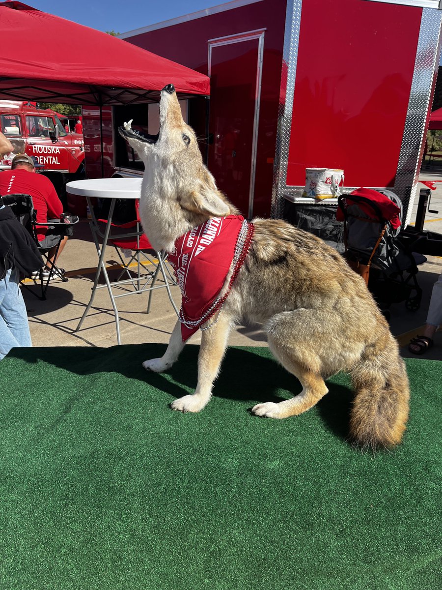 BackthePackSD's tweet photo. Sights from a convincing home DUB! πͺπ»
#GoYotes
#BackTheBack
#DefendTheDome
#WeAreSouthDakota https://t.co/cubFJztwcq