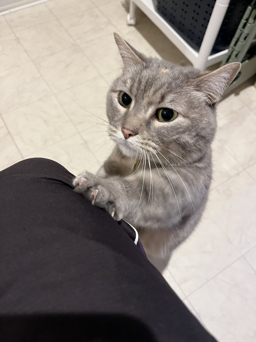 hide@Ninja650 tweet media