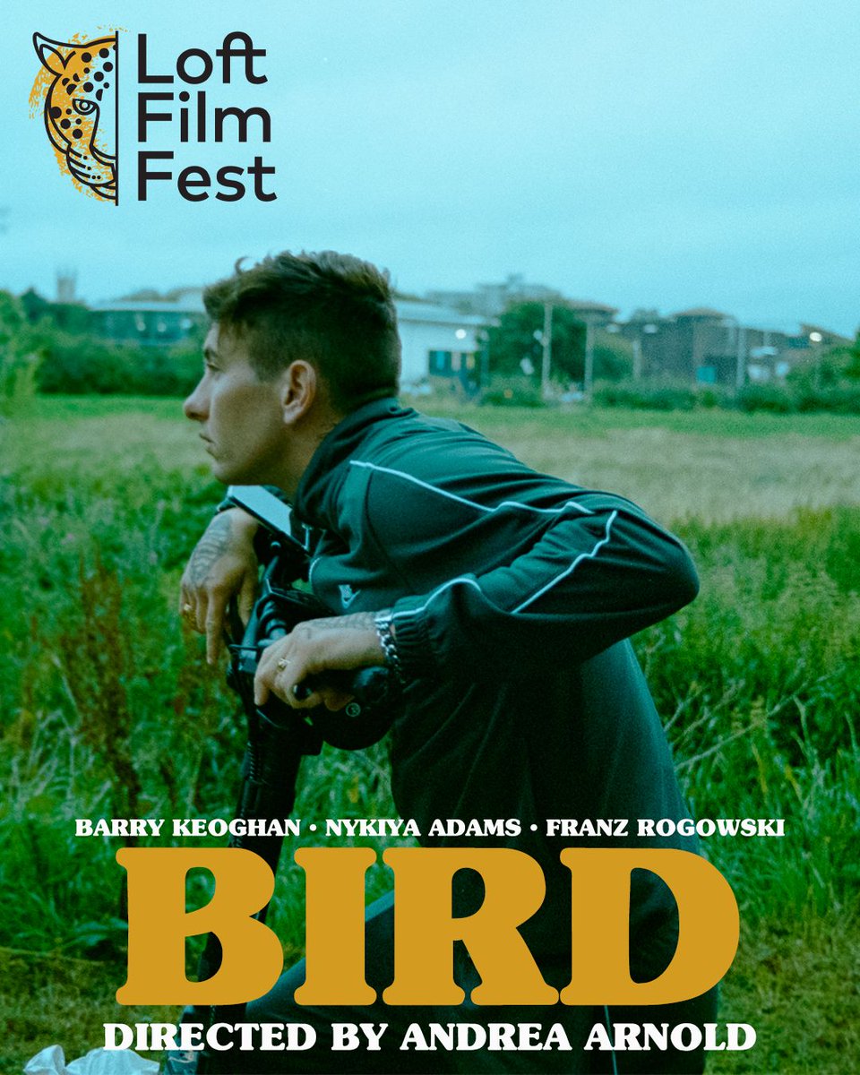 Loft Film Fest tweet media