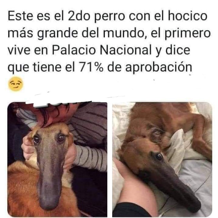 #NarcoPresidenteAML0SeVa