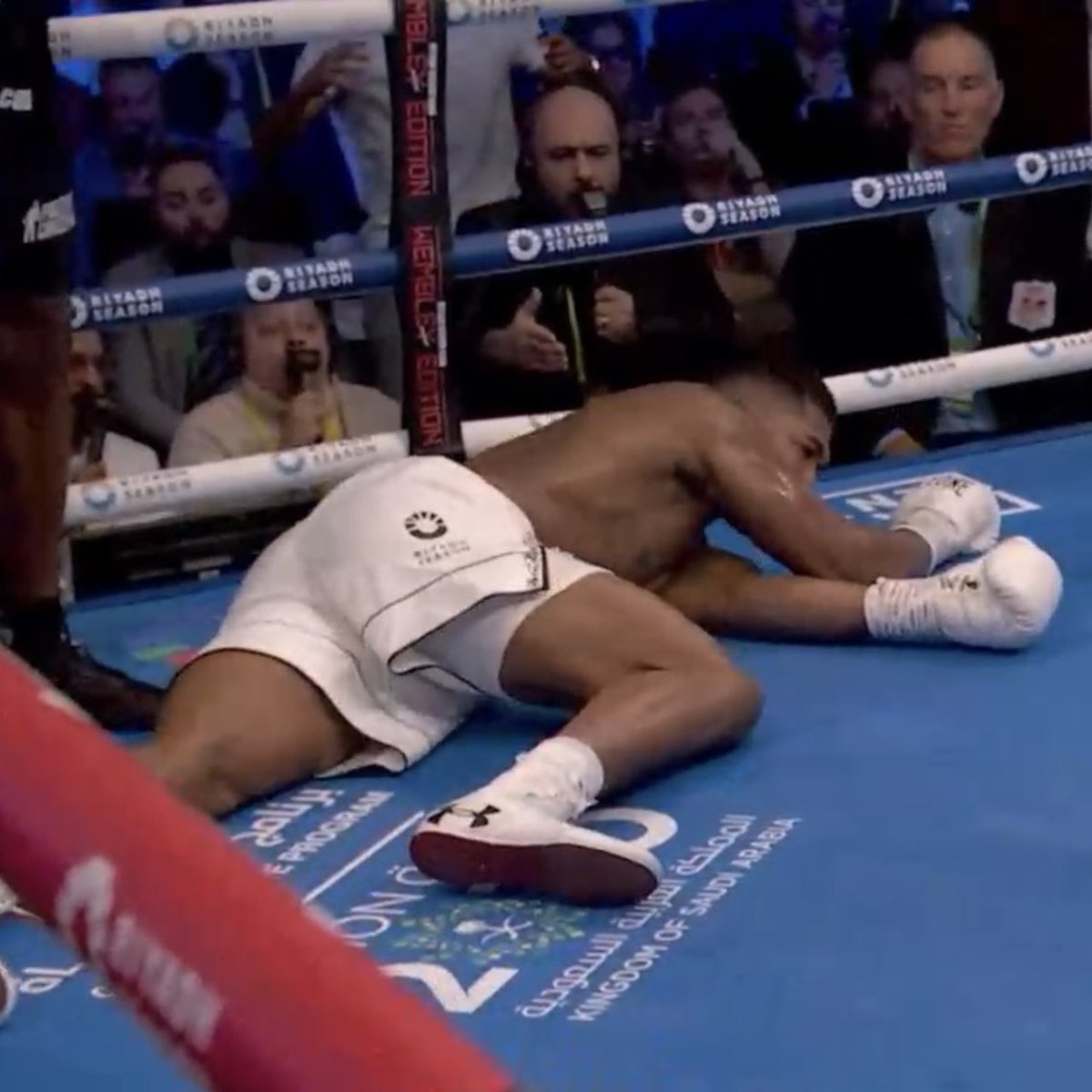 BOXINGEGO tweet media