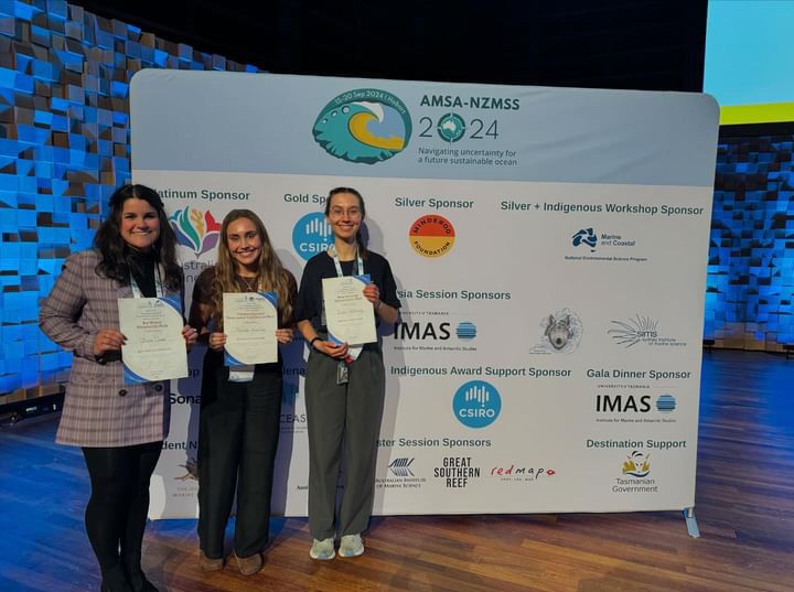 polar.ilaria tweet media