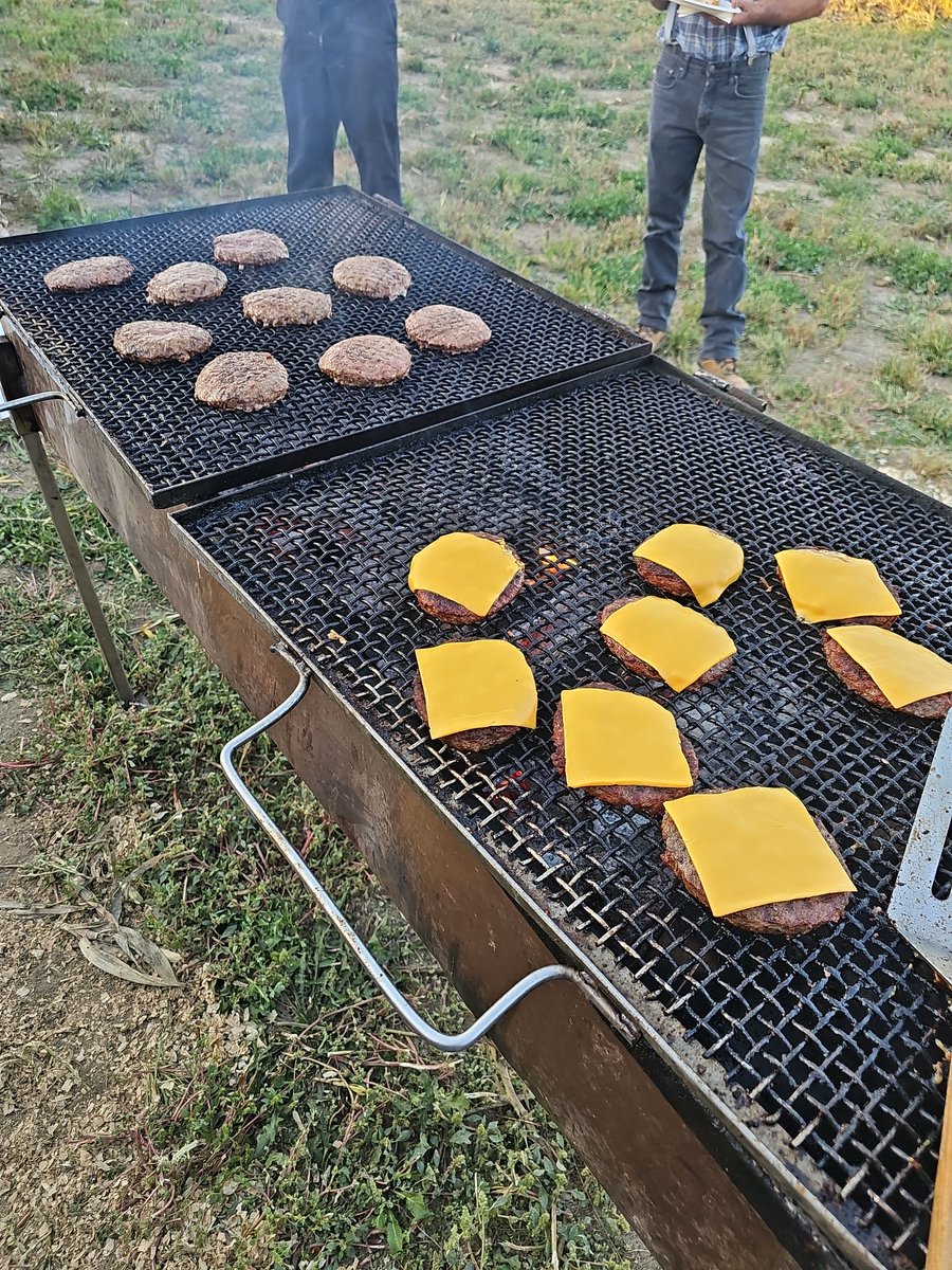 Another successful customer appreciation day. It was beautiful and sunny and lots to do... but our loyal customers still took time to come say hi and grab a burger. #tripleglivestock  <a href="/PioneerSeedsCA/">Pioneer Seeds Canada</a> <a href="/PinstripeAg/">Phil Emmott</a> <a href="/CortevaCA/">Corteva Canada</a>