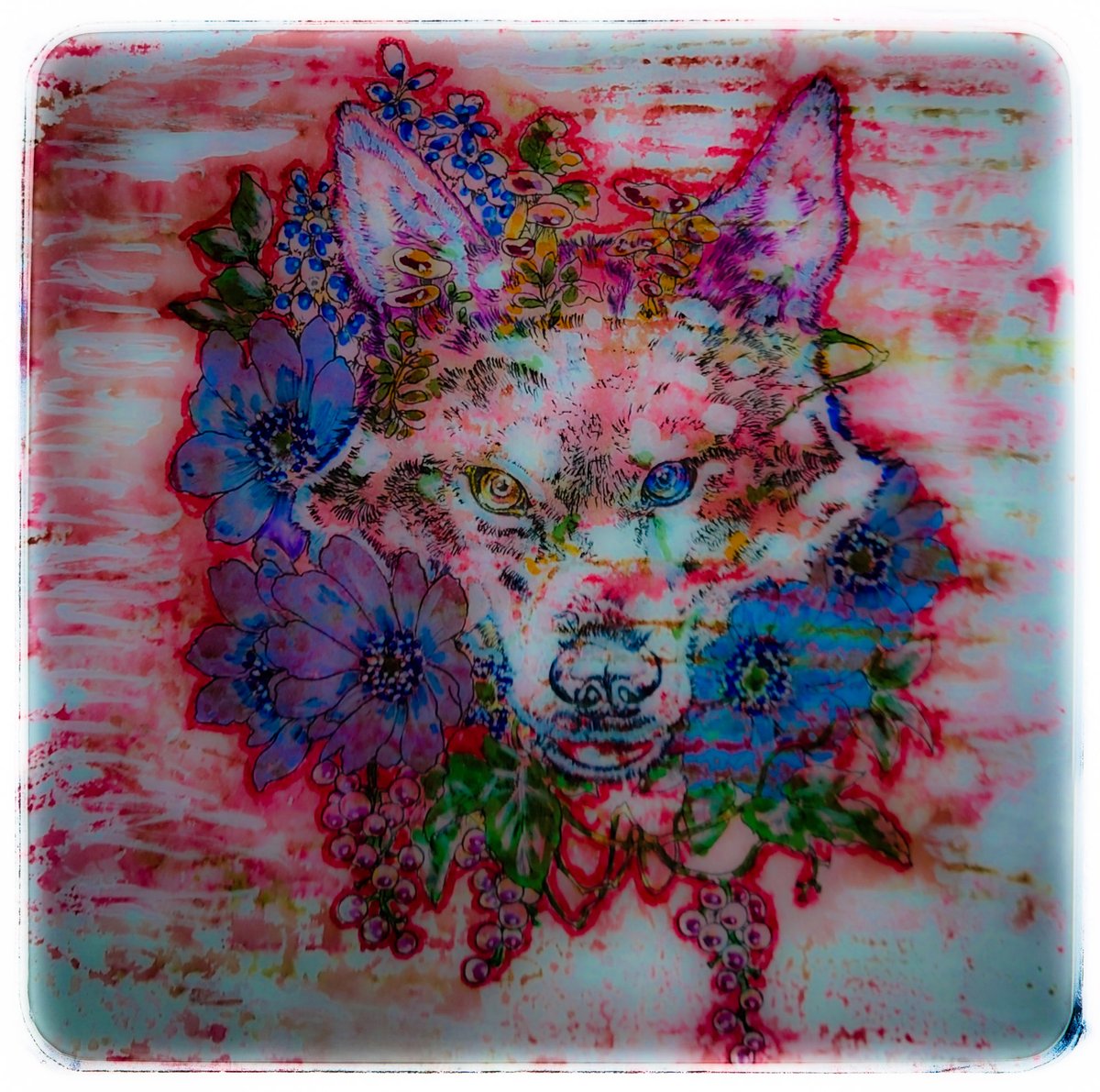 マツダケン - Search / X