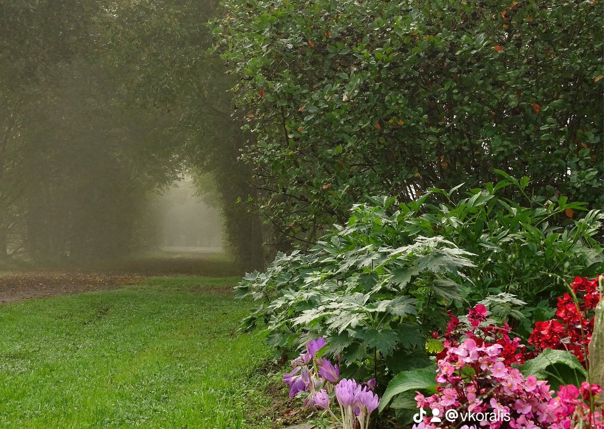 vkoralis's tweet image. RĪTS

Viņš liek pacelties miglai no zemes galiem, ievada ar zibeņiem lietu, izved vēju no tā slēptuvēm. /Ps. 135:7/

#eīts #migla #sēta #dārzs #ziedi #aleja #garden #tree #koki #mācītājsatpūšas