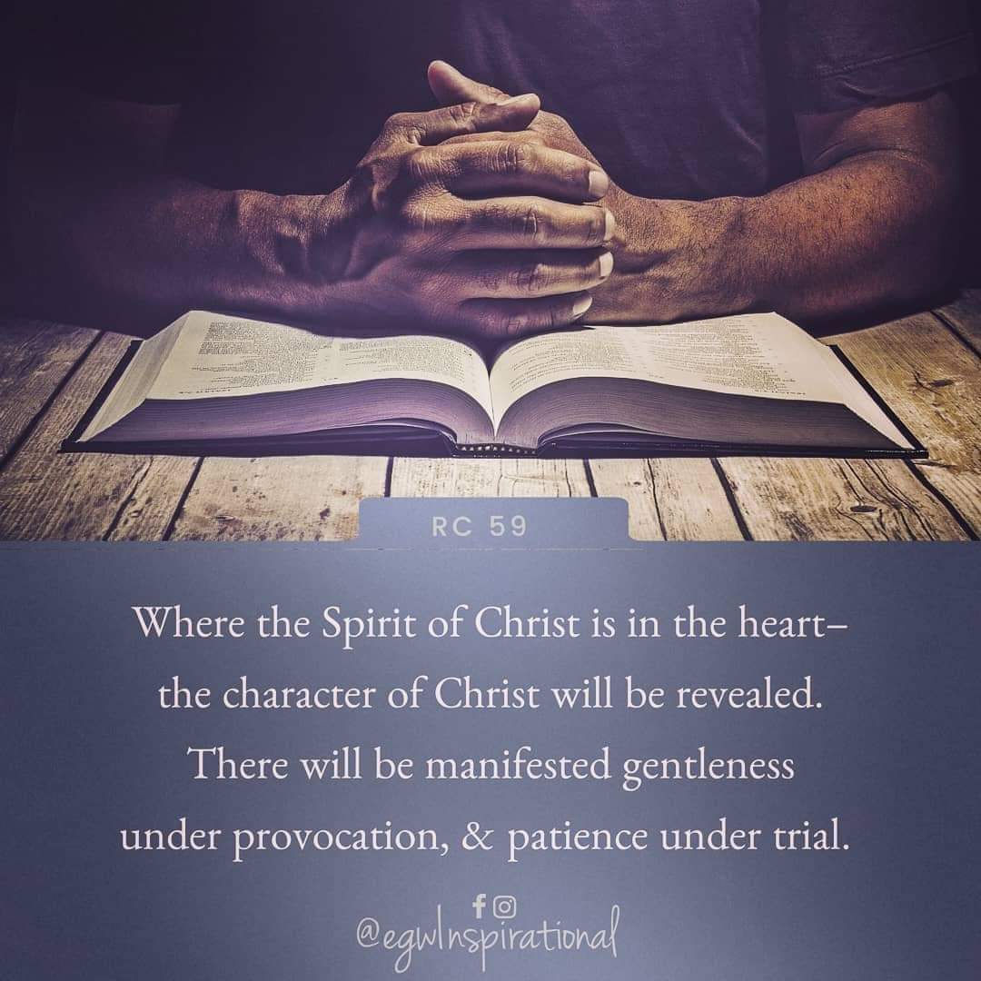 Godwakeupcall's tweet photo. There is no other rule by which to measure character.— RC 59.#egw #ReflectingChrist
#Character #Jesus #gentleness #patience #SelfControl #Truth #life #Purpose #transforms #Heart #Soul #Hope #thoughts #words #actions #inspire #love #God #daily 🕊️ https://t.co/KoItvehR4U