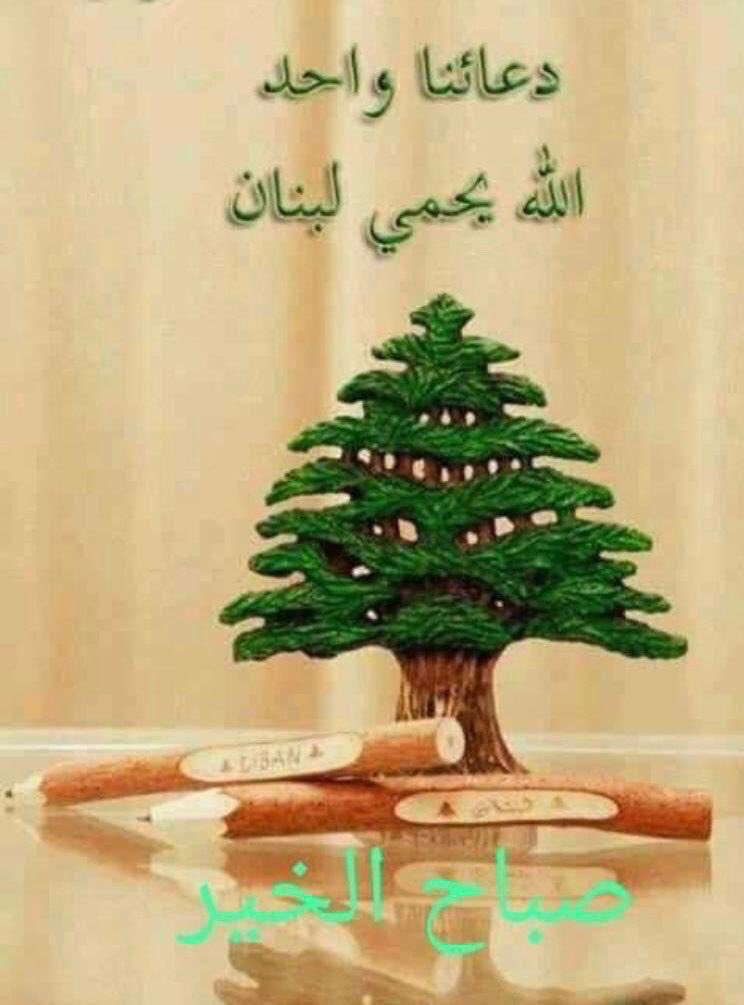 Yassine Jaber (@jaberyassine) on Twitter photo 