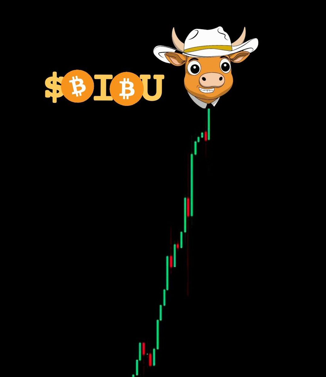 SilkNet Trading BIBU MAXI 🫵🤠 tweet media