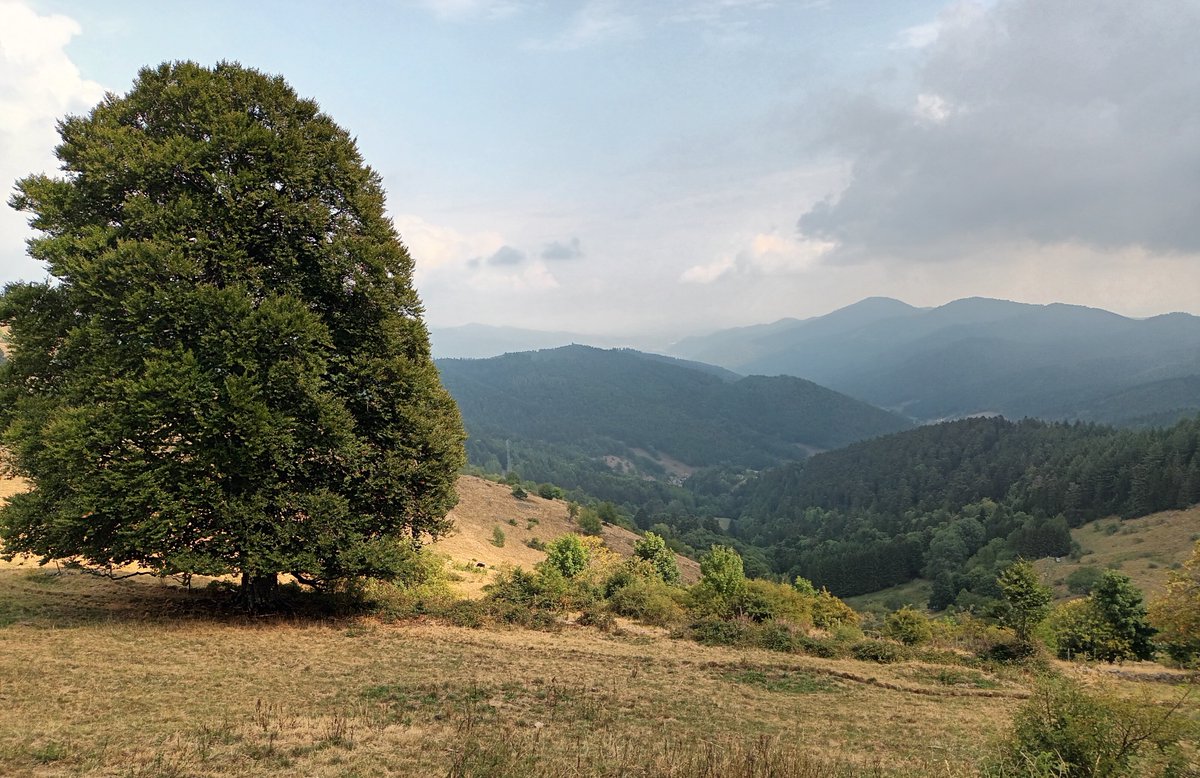 parlait_ainsi's tweet image. "La nature m’émeut, parce que je n’ai pas  peur d’avoir l’air bête quand je la regarde."

AINSI PARLAIT JULES RENARD
(Journal, 4 mai 1893)