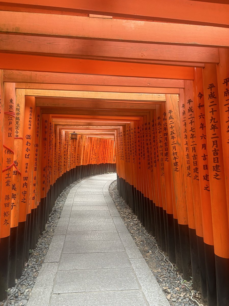 megansheraton's tweet photo. Home and jet lagged after my favourite ever trip. Japan is as good as everyone says it is 🇯🇵😭 https://t.co/NbLmyuvZ2i