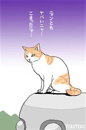 4コマ漫画は1枚で全部だと小さくて見づらい場合もあるので4枚に分けるのは自然かと👌ただ試みとして最初の2コマを1枚目にして計3枚にするとサムネでは1枚目が大きく出るので「起承」「転」「結」と読んでもらう手もあるのかなと🐈🐾 #猫好き #illustration #オリジナルイラスト ↓こちらは3コマ漫画🤭 