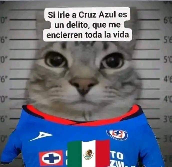 arturiano33's tweet photo. Buenas noches 💙 https://t.co/sdKVf7UAnx