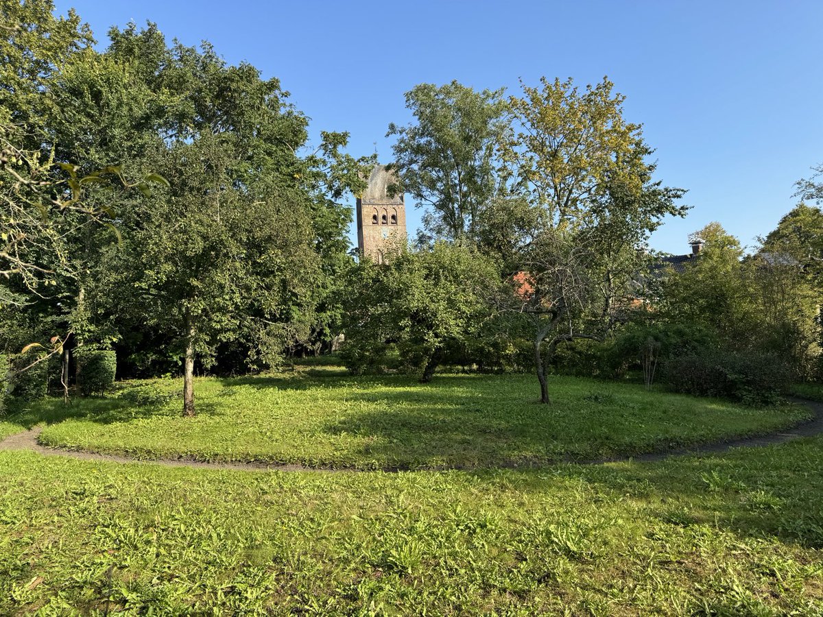 De paden op … Mooi licht in de Vlaskamptún.