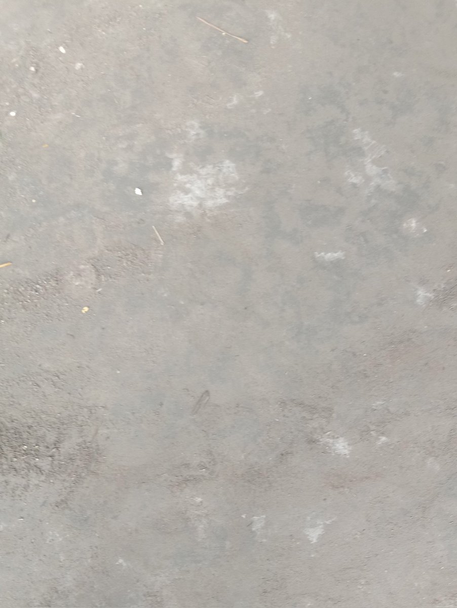 rmamiislam46's tweet image. #cleanupchallenge
@cleanify_vet