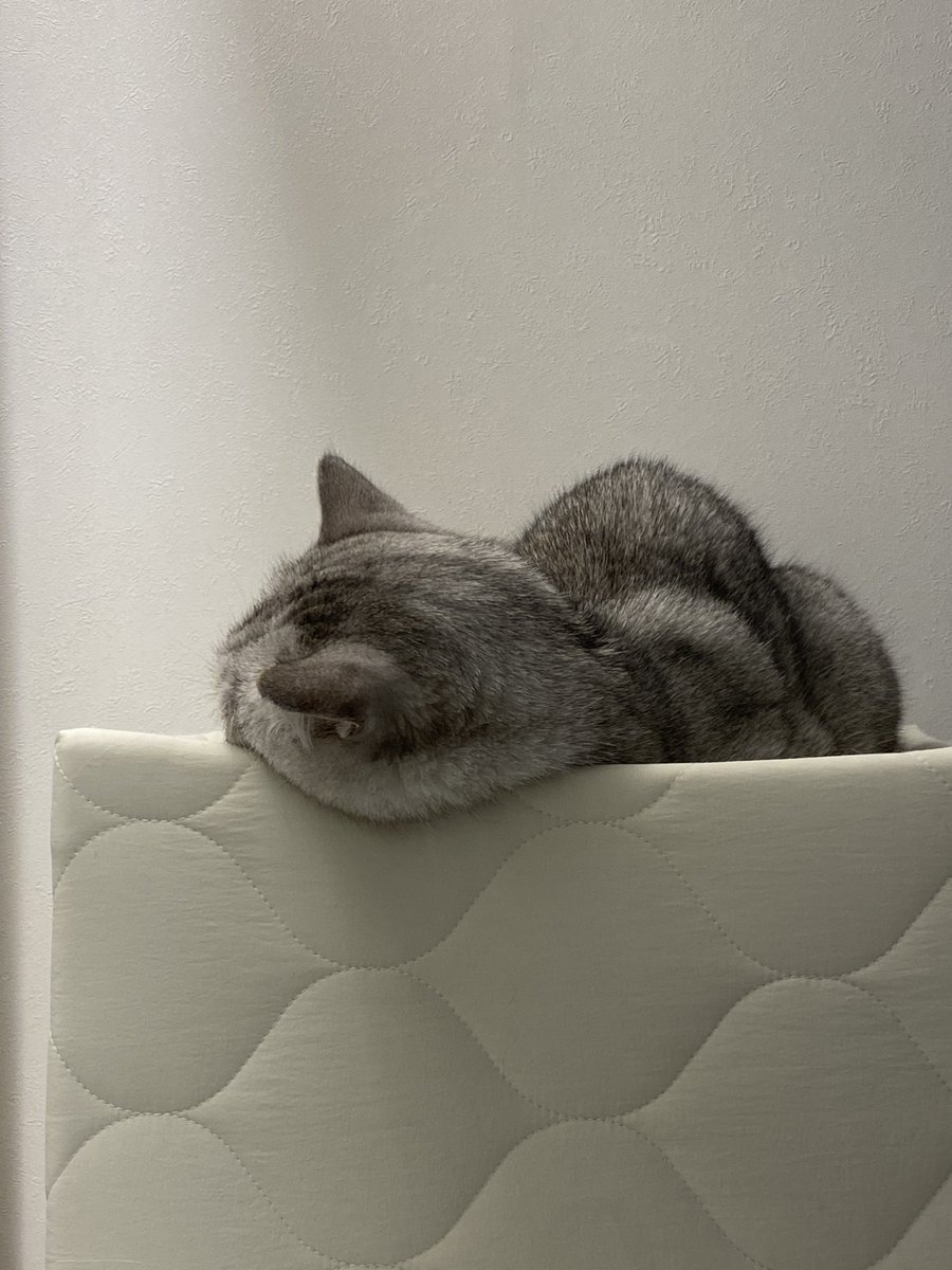 흘러내리는 볼살~~~~